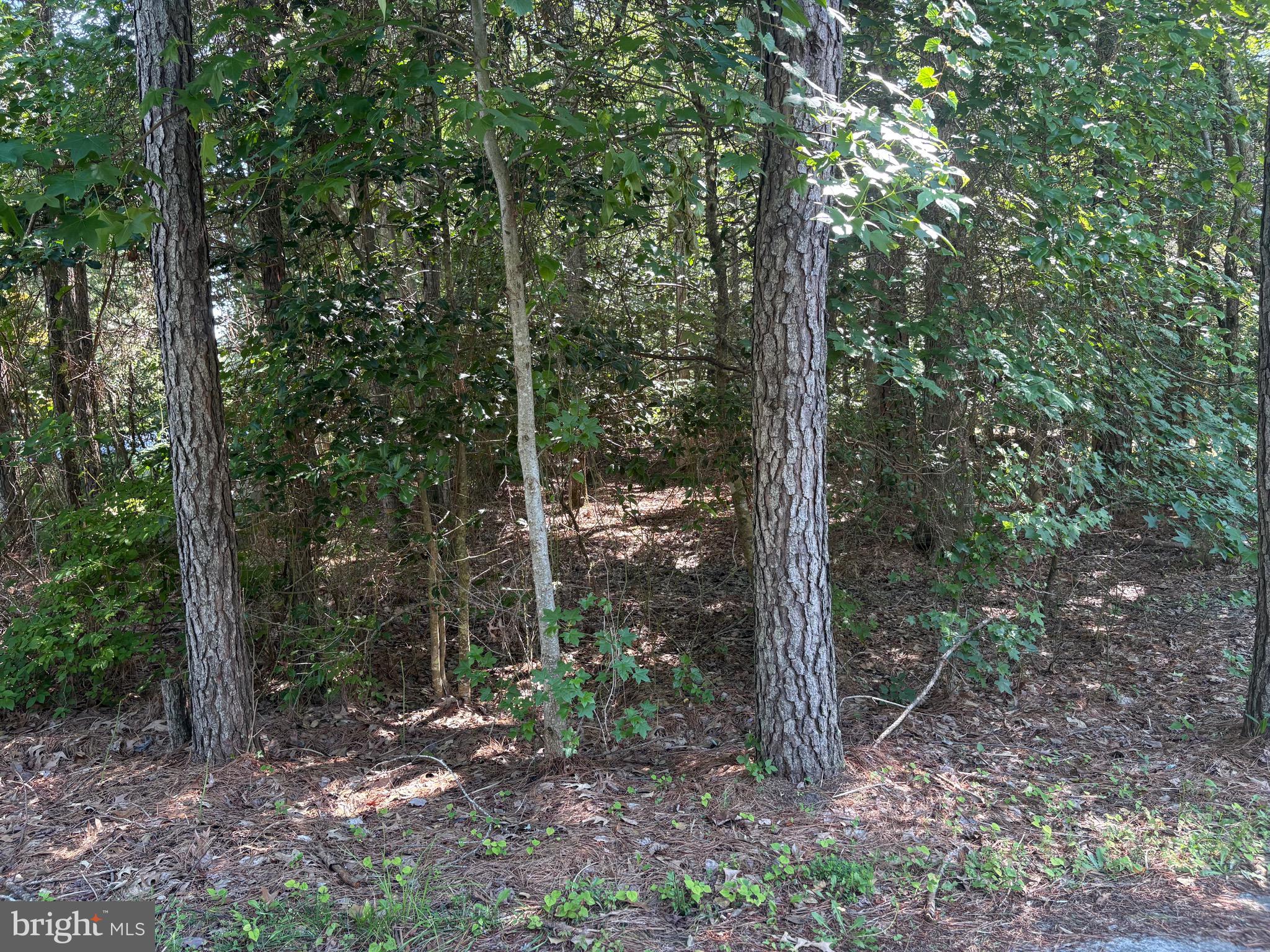 201 Charleston Road Ocean Pines, MD 21811 - Photo 12 of 16 I’m