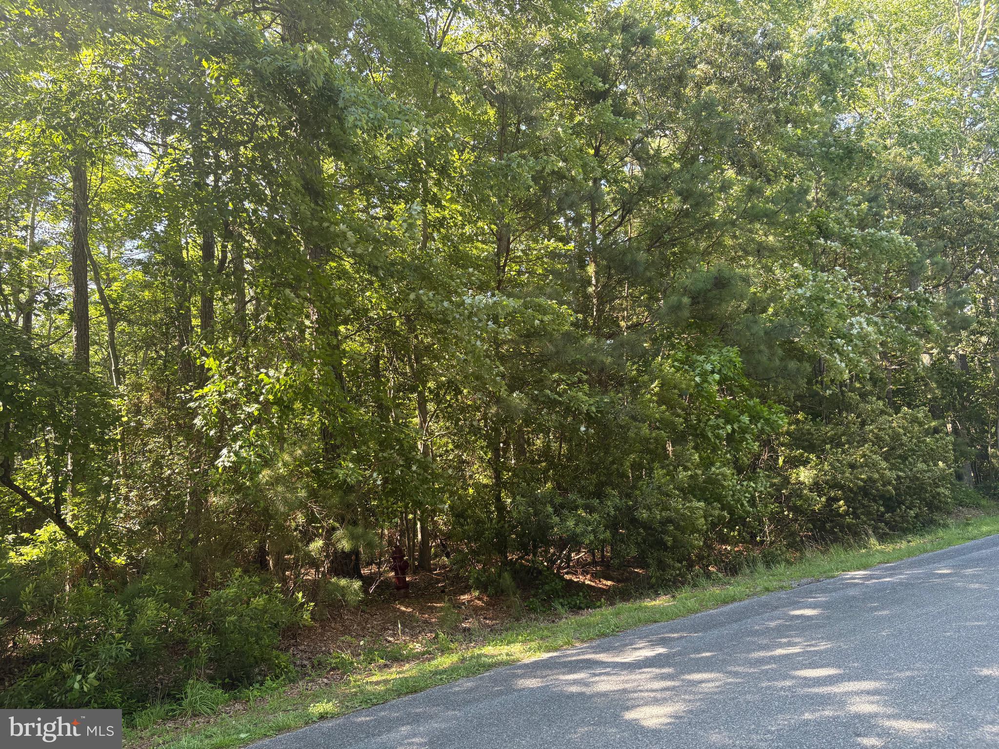 201 Charleston Road Ocean Pines, MD 21811 - Photo 8 of 16 Gallery Image 8