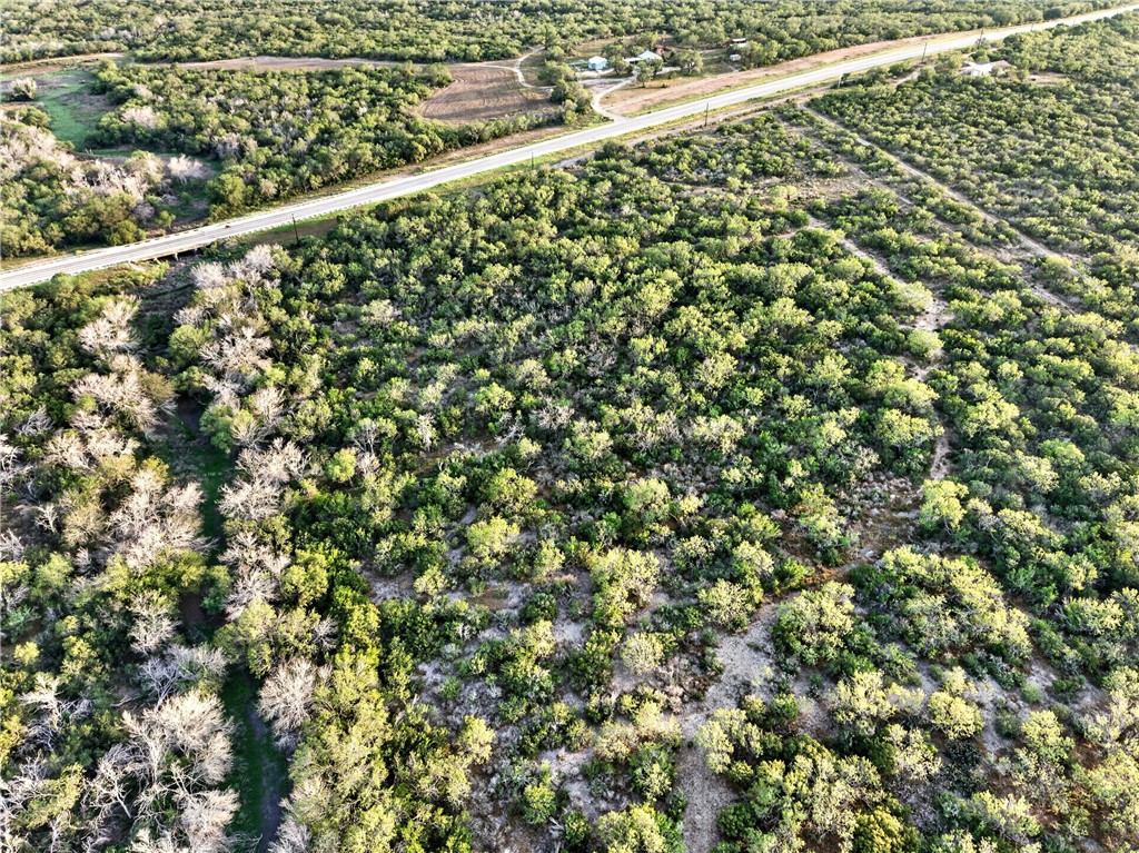 0 Highway 72 Three Rivers, TX 78071 - Photo 4 of 10 Gallery Image 4