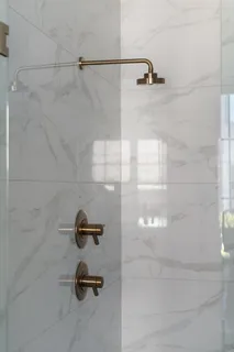 a view of bathroom with a potted plant on the counter and mirror