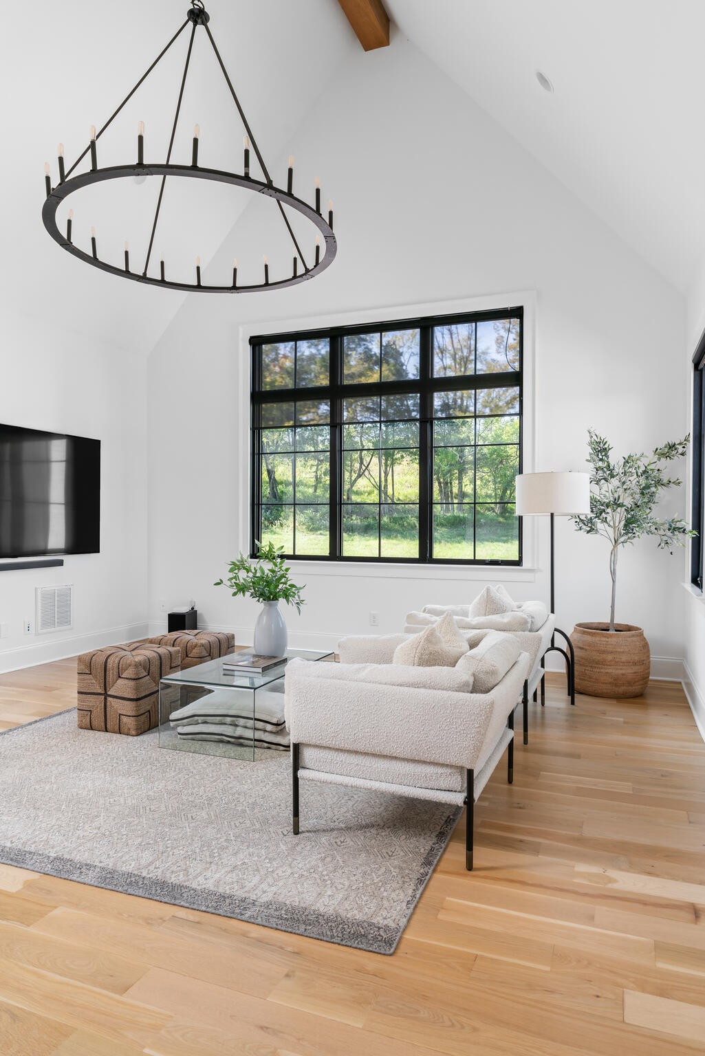 9021 Passiflora College Grove, TN 37046 - Photo 59 of 84 a living room with furniture a flat screen tv and a window