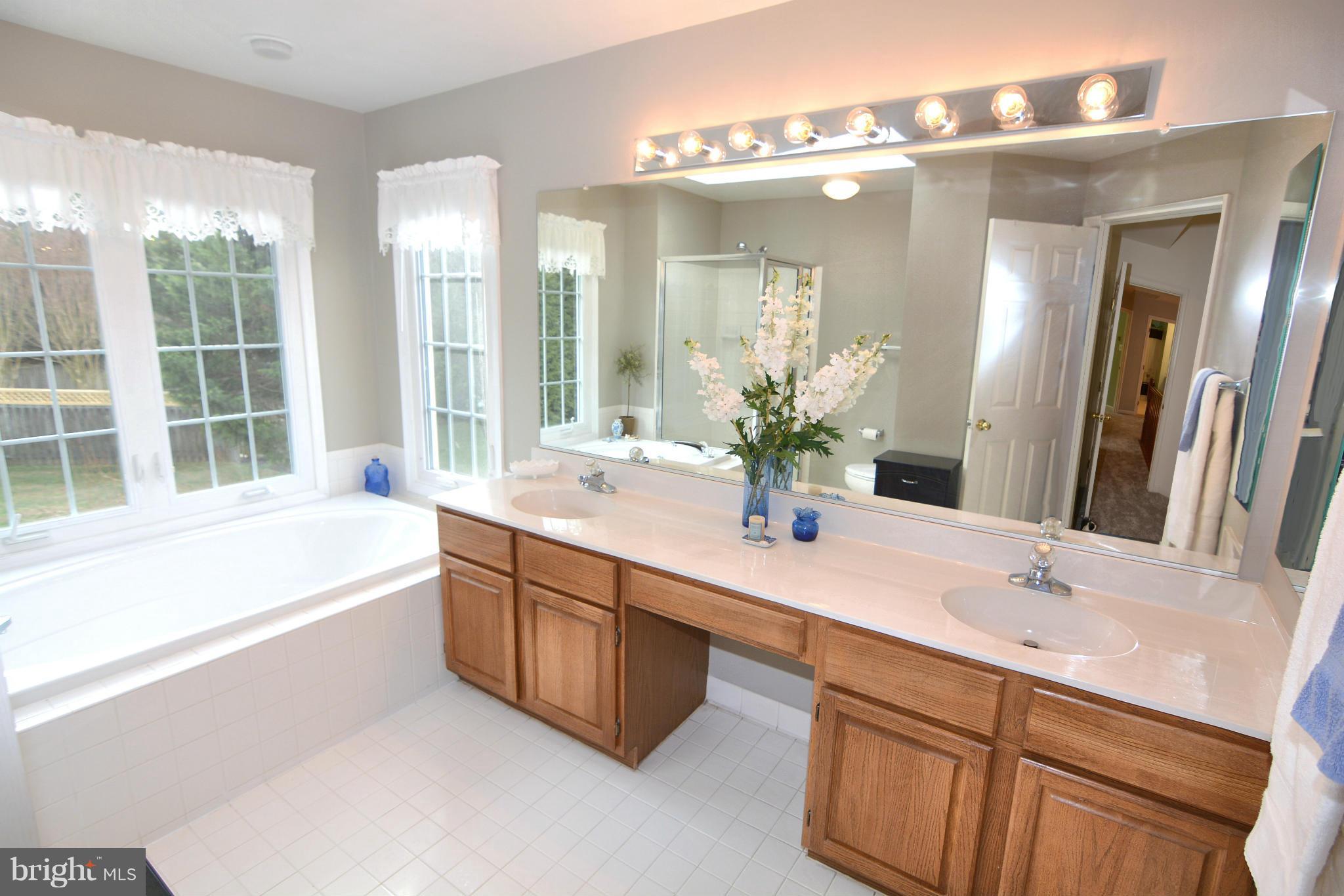 1325 Pleasant Meadow Road Crofton, MD 21114 - Photo 18 of 29 Bath (Master)