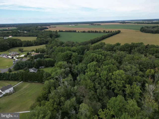 an aerial view of huge green field with lots of plants in back