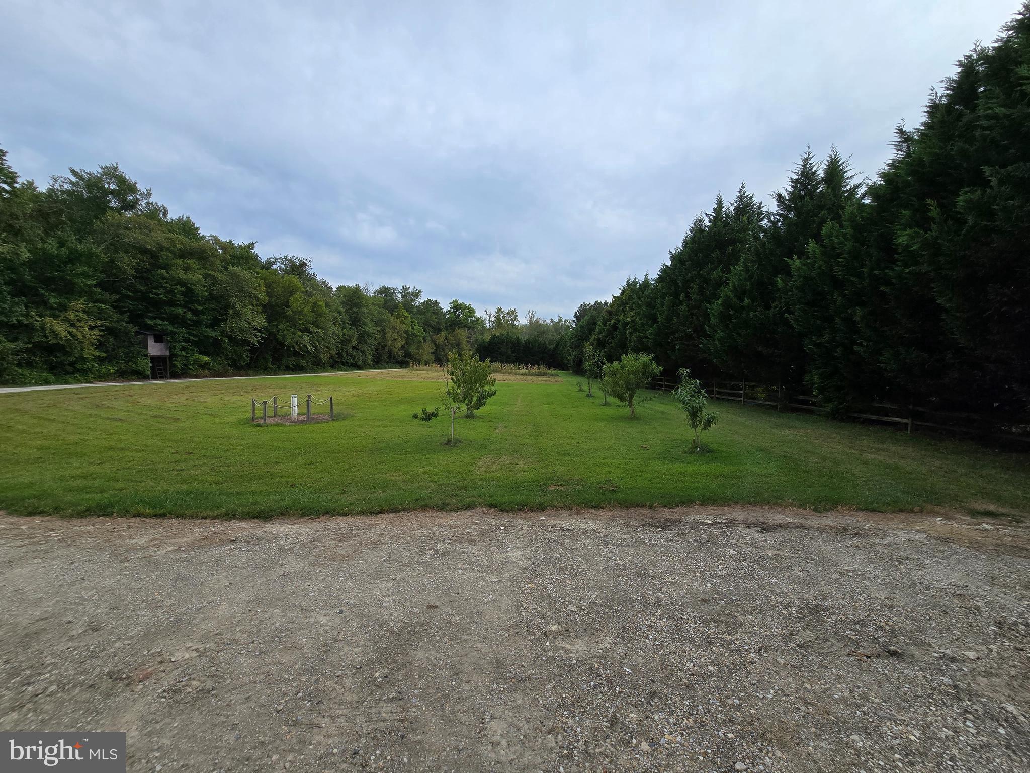 Mason Branch Road Queen Anne, MD 21657 - Photo 13 of 31 Gallery Image 13