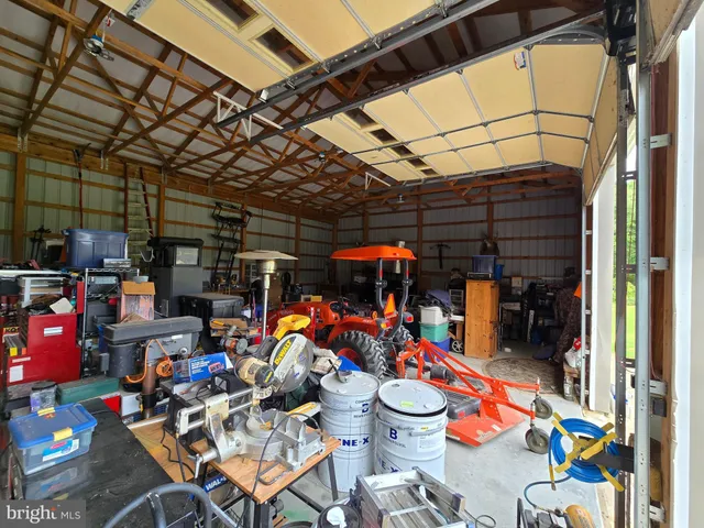 a view of field with tall trees