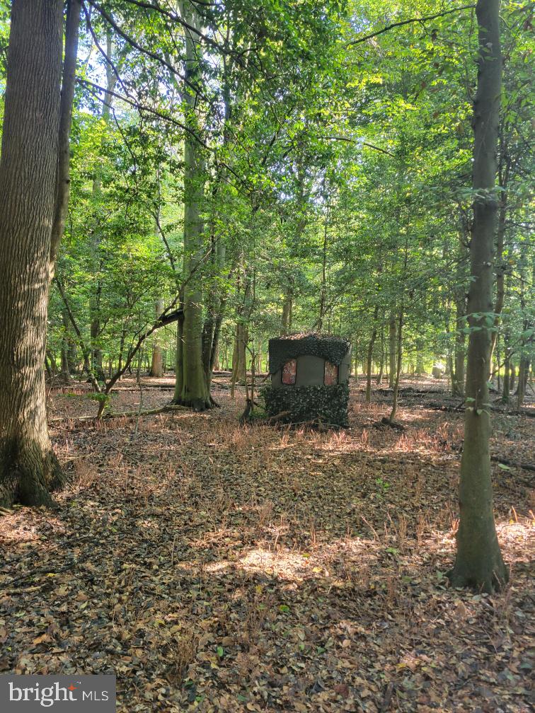 Mason Branch Road Queen Anne, MD 21657 - Photo 20 of 31 Gallery Image 20