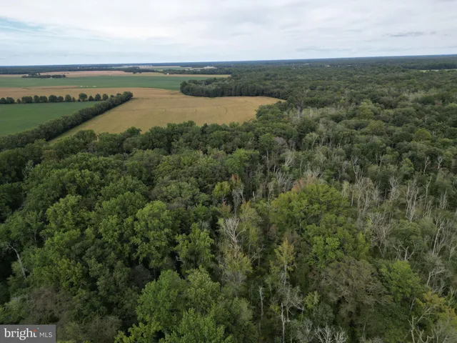 an aerial view of valley and lake