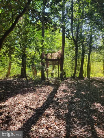 a view of an outdoor sitting area with chairs