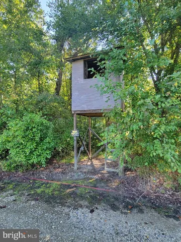 a utility room with lots of trees and plants