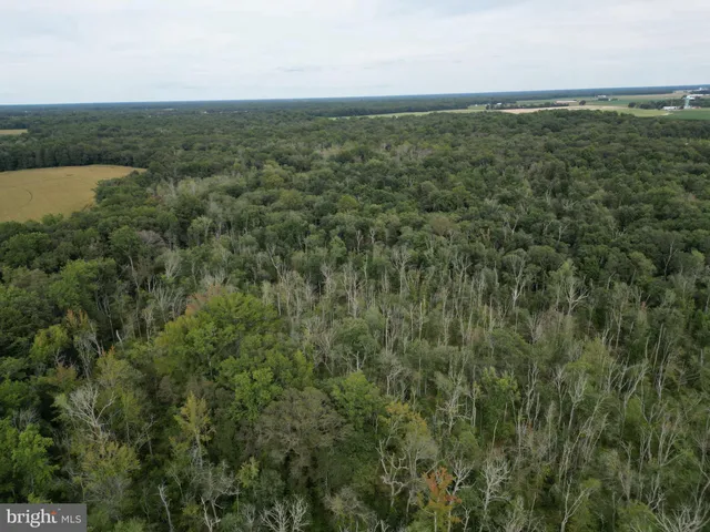 a view of a field with an outdoor space