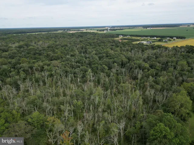 a view of a field with an outdoor space