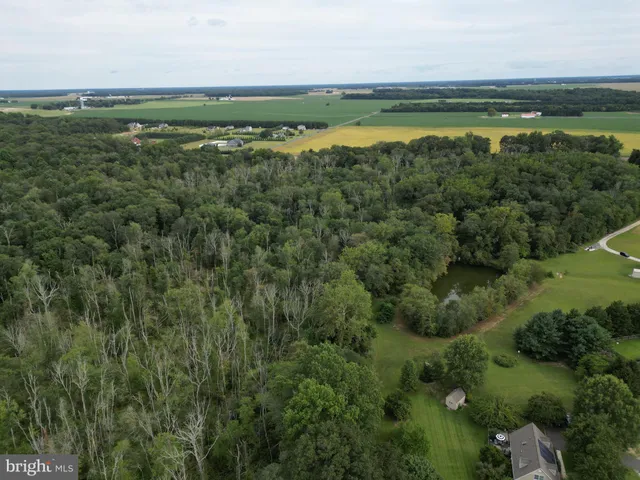 a view of a green field with an ocean