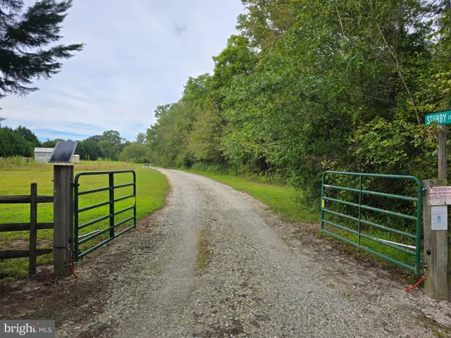 a view of a park with large trees