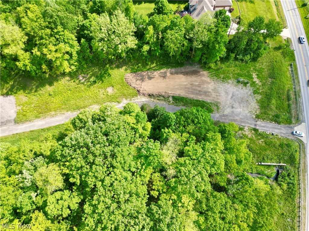 Vl Ridge Road North Royalton, OH 44133 - Photo 13 of 17 View of bird's eye view