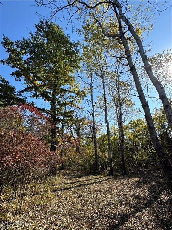 12056 Old State Road Chardon, OH 44024 - Photo 5 of 17