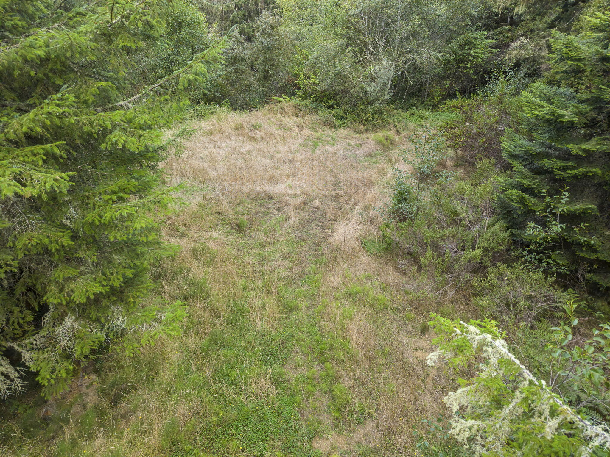 0 Williams Creek Road Ferndale, CA 95536 - Photo 2 of 13