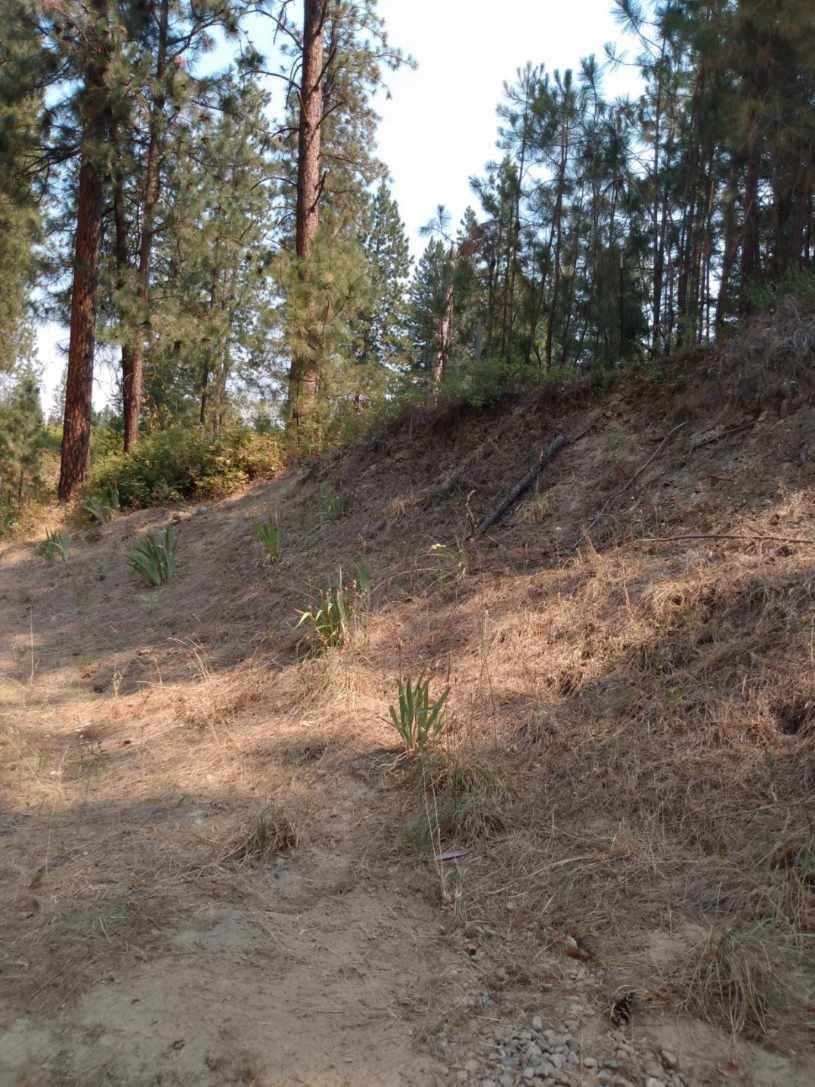 1045 Philleo Road Addy, WA 99101 - Photo 12 of 12 Gallery Image 12