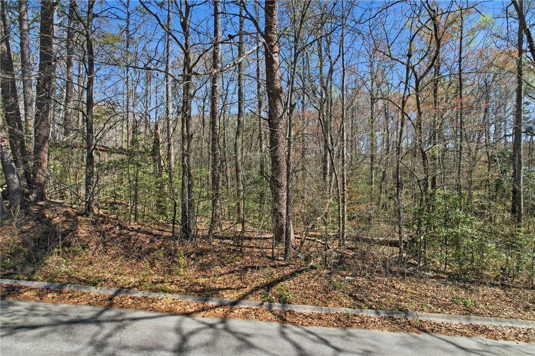 Mature trees and lush undergrowth define this tranquil, undeveloped lot.