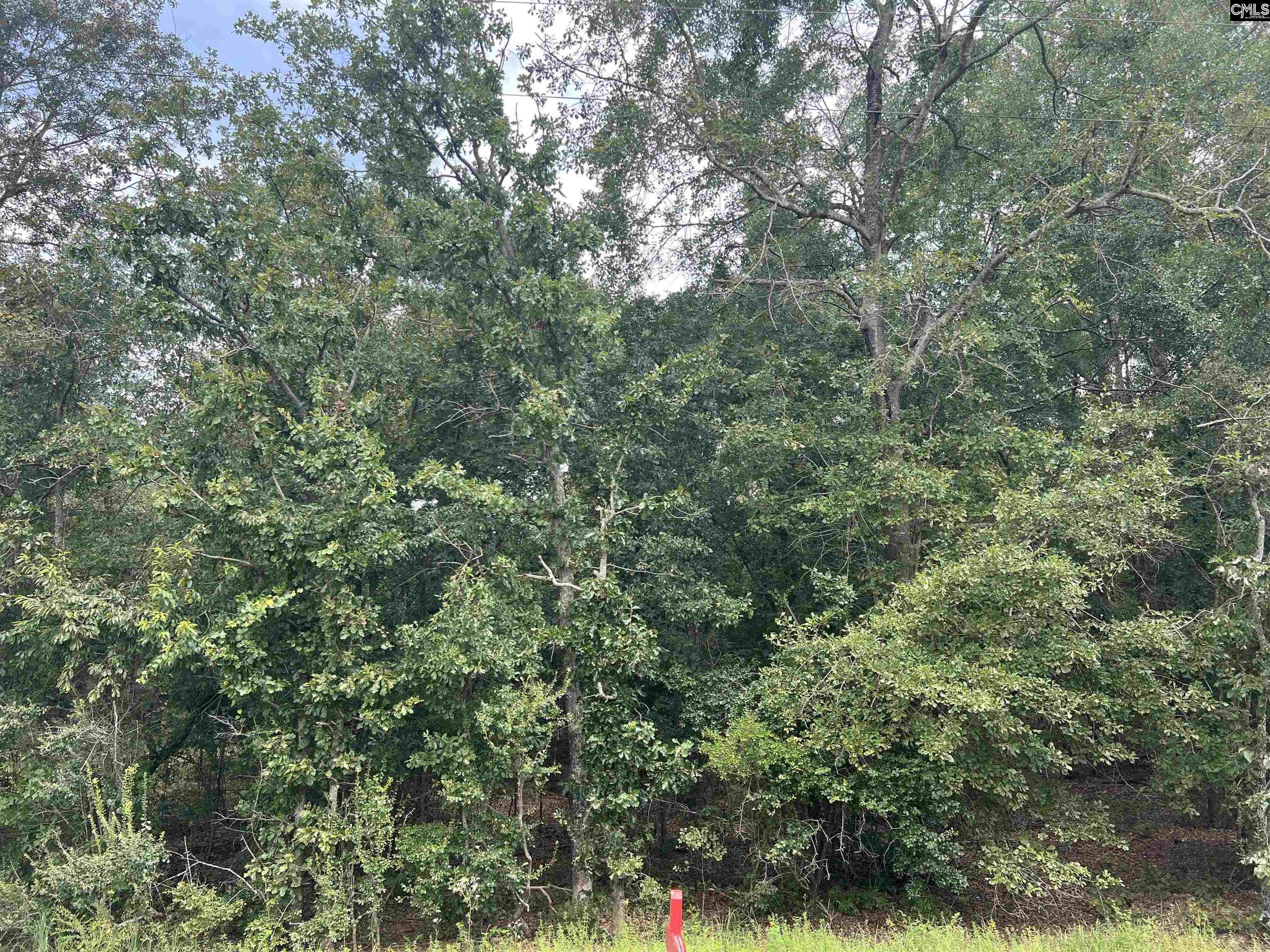 0 Cliff Road Pelion, SC 29123 - Photo 18 of 28