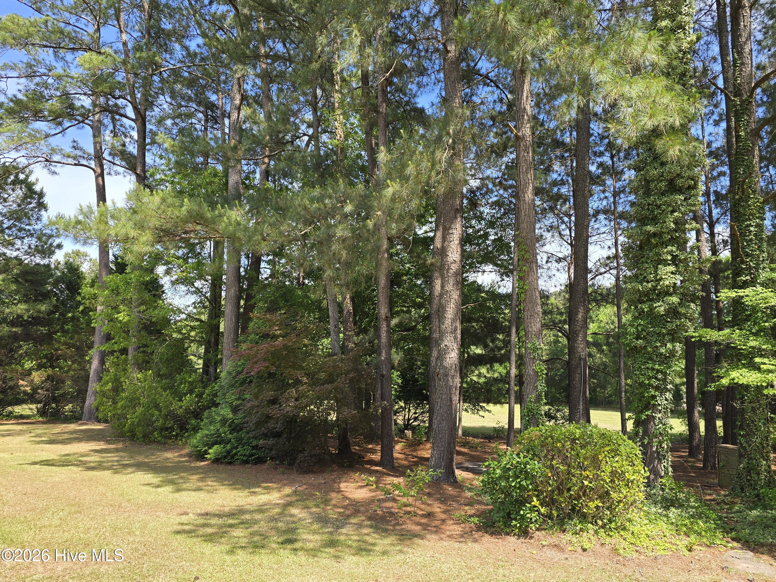 1140 Tart Road Clarkton, NC 28433 - Photo 24 of 25 20260505_150132