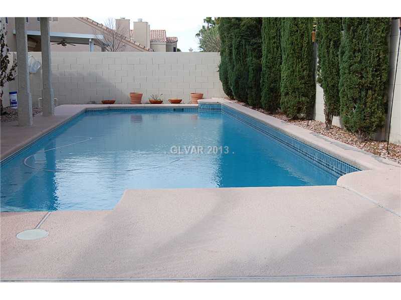 280 Pear Tree Circle Henderson, NV 89014 - Photo 6 of 19 Swimming Pool/Hot Tub/Sauna.
