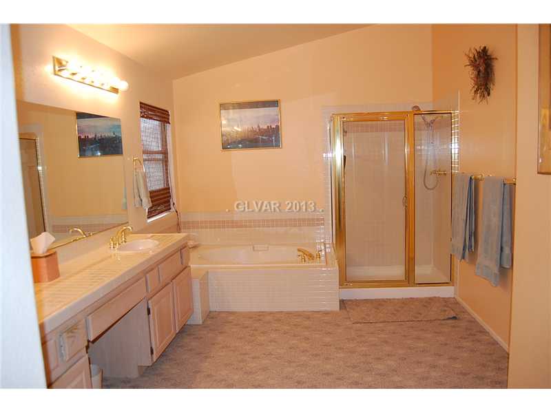 280 Pear Tree Circle Henderson, NV 89014 - Photo 10 of 19 Master Bath/Spa.