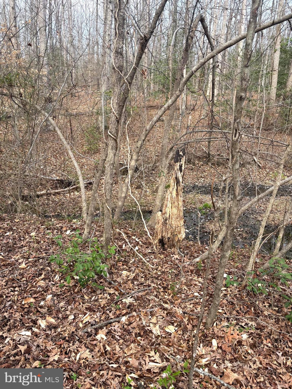 406 Truslow Road Fredericksburg, VA 22405 - Photo 2 of 7 a backyard of a building