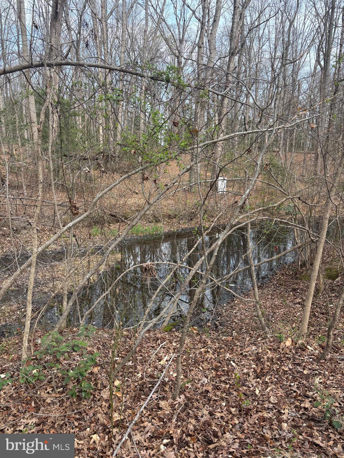 406 Truslow Road Fredericksburg, VA 22405 - Photo 4 of 7