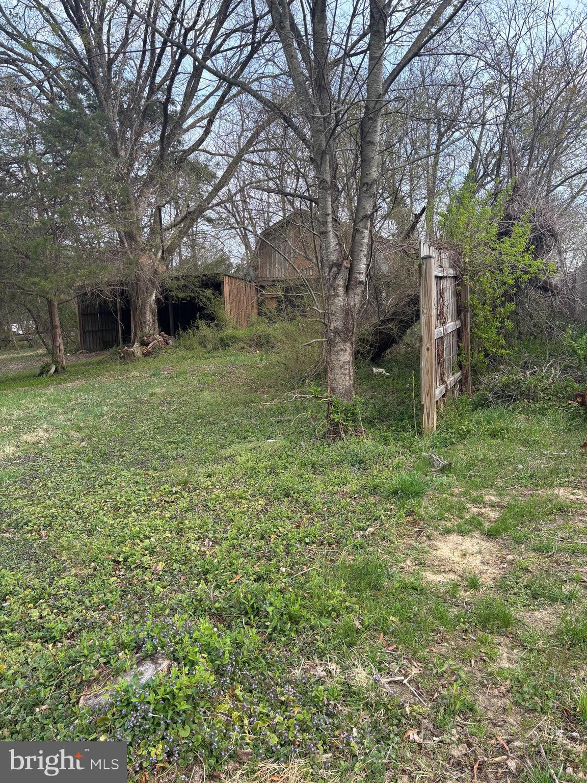 406 Truslow Road Fredericksburg, VA 22405 - Photo 6 of 7 a view of a backyard with large trees