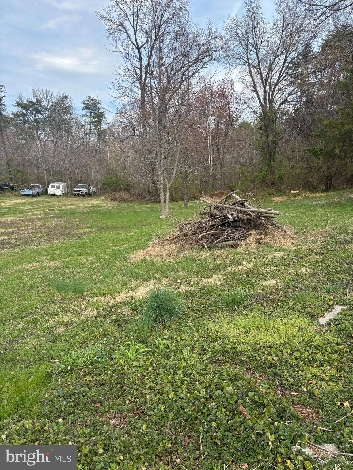 406 Truslow Road Fredericksburg, VA 22405 - Photo 7 of 7 a view of a field with an trees