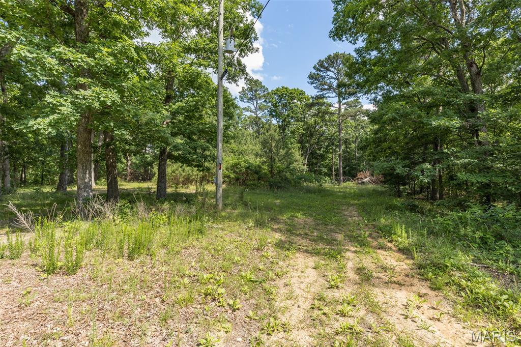 10130 Fish Hook Road Potosi, MO 63664 - Photo 15 of 29