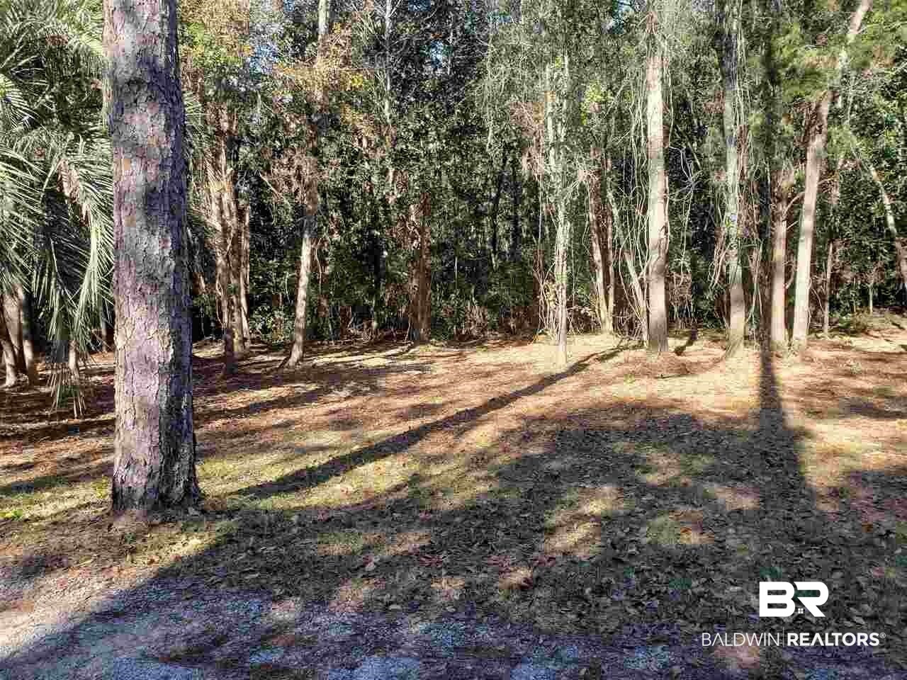 21655 Highway 98 Foley, AL 36535 - Photo 13 of 22