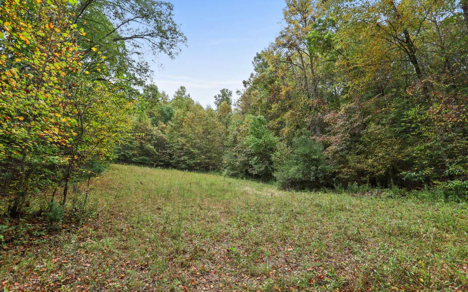 1955 Cavender Gap Road Suches, GA 30572 - Photo 1 of 45 Main View