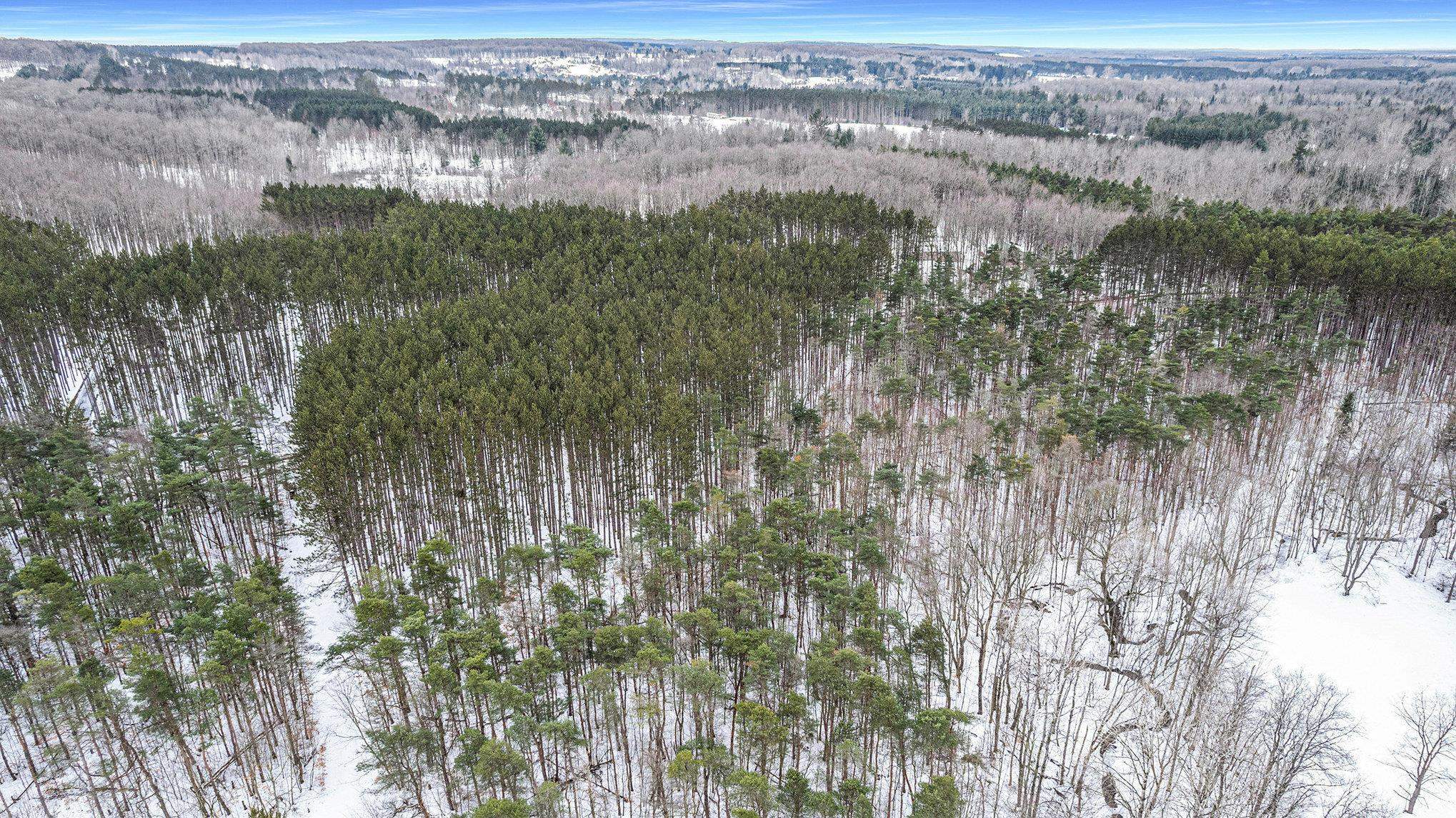 5 D Preston Road Northeast Kalkaska, MI 49646 - Photo 6 of 6