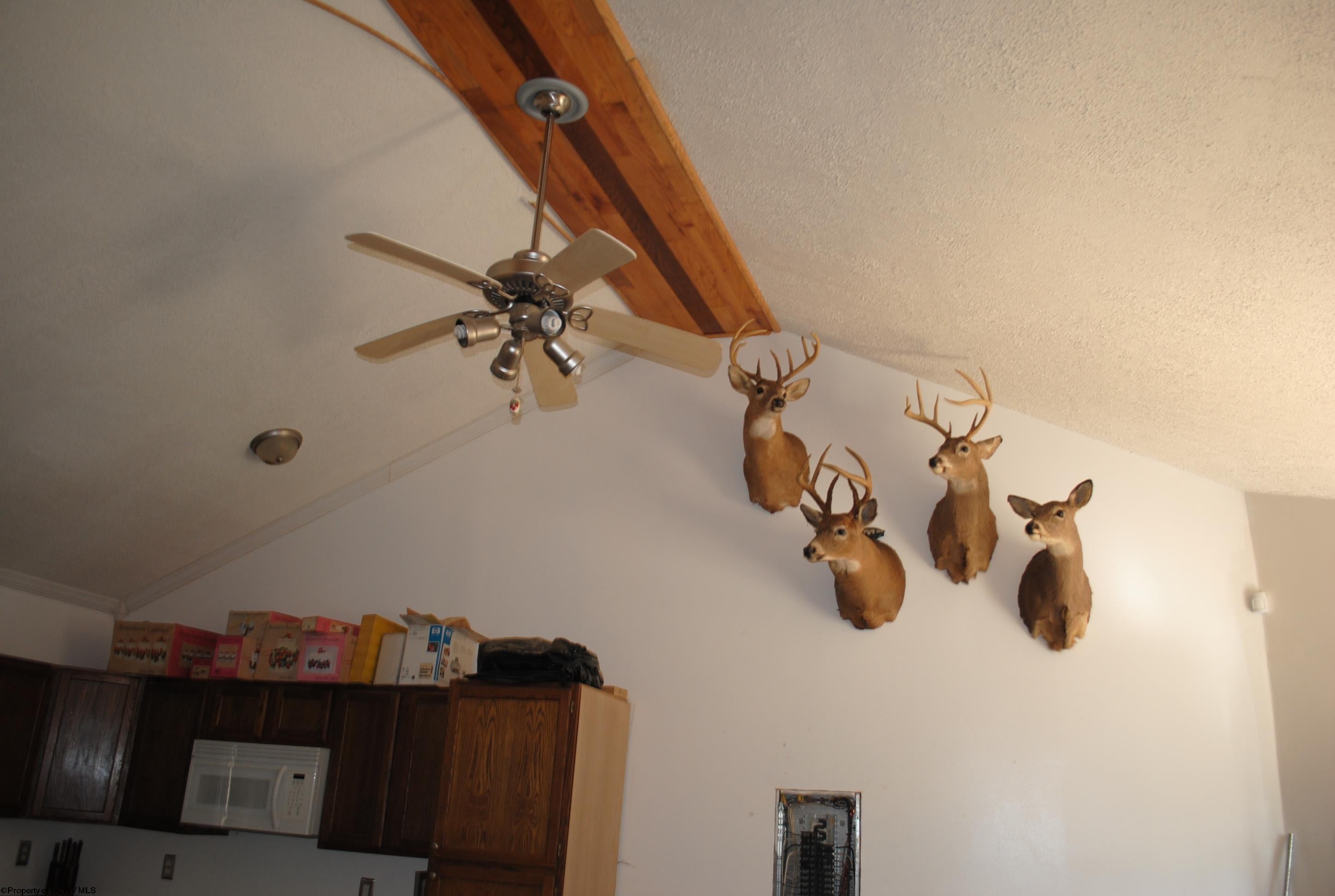 2201 Wash Run Road Philippi, WV 26416 - Photo 7 of 22 Gallery Image 7