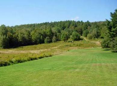 Main Stamford, VT 05352 - Photo 1 of 1 a view of a field with trees in the background