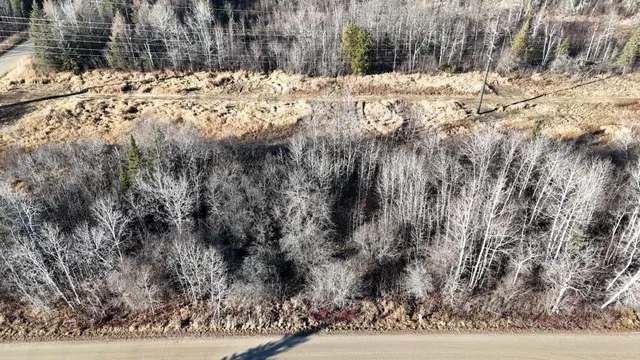 $19,900 | Parcel C Parcel C Parameter Road, Deer River, MN 56636