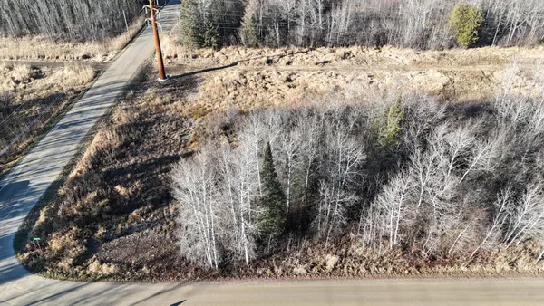 $19,900 | Parcel C Parcel C Parameter Road, Deer River, MN 56636
