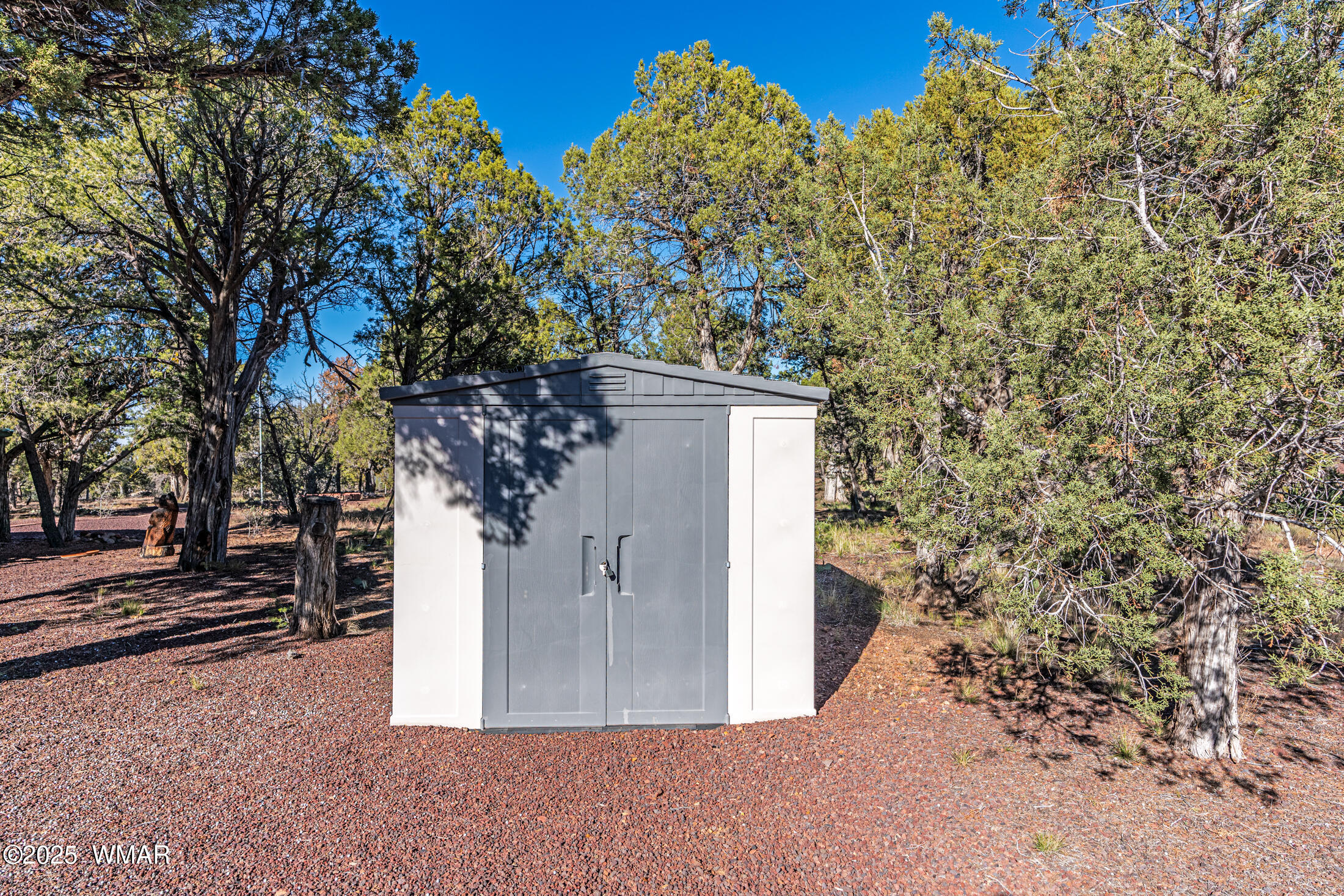 1680 Cactus Flower Road Show Low, AZ 85901 - Photo 13 of 18 small storage shed