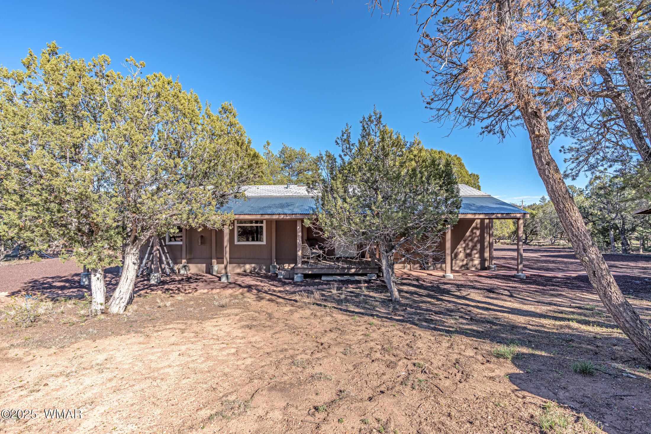 1680 Cactus Flower Road Show Low, AZ 85901 - Photo 15 of 18 back of home