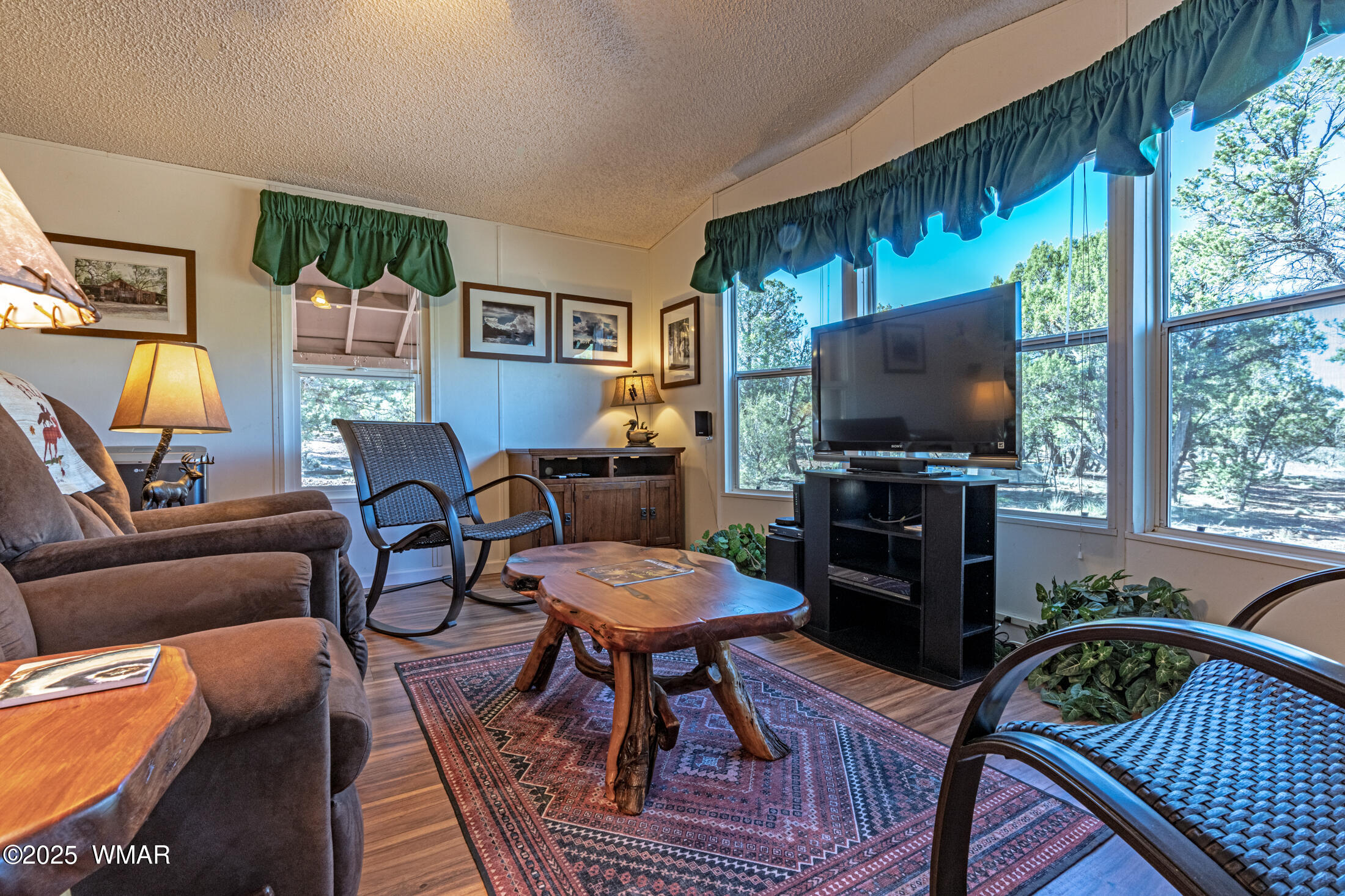 1680 Cactus Flower Road Show Low, AZ 85901 - Photo 2 of 18 Living Room