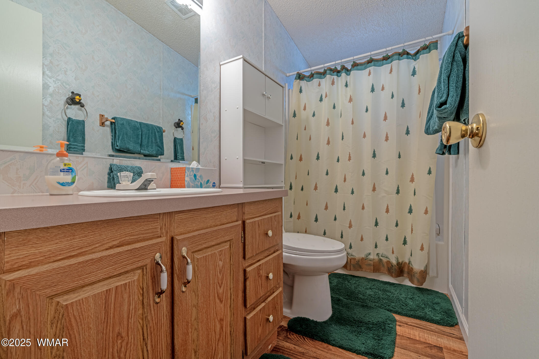 1680 Cactus Flower Road Show Low, AZ 85901 - Photo 9 of 18 bathroom w tub/shower