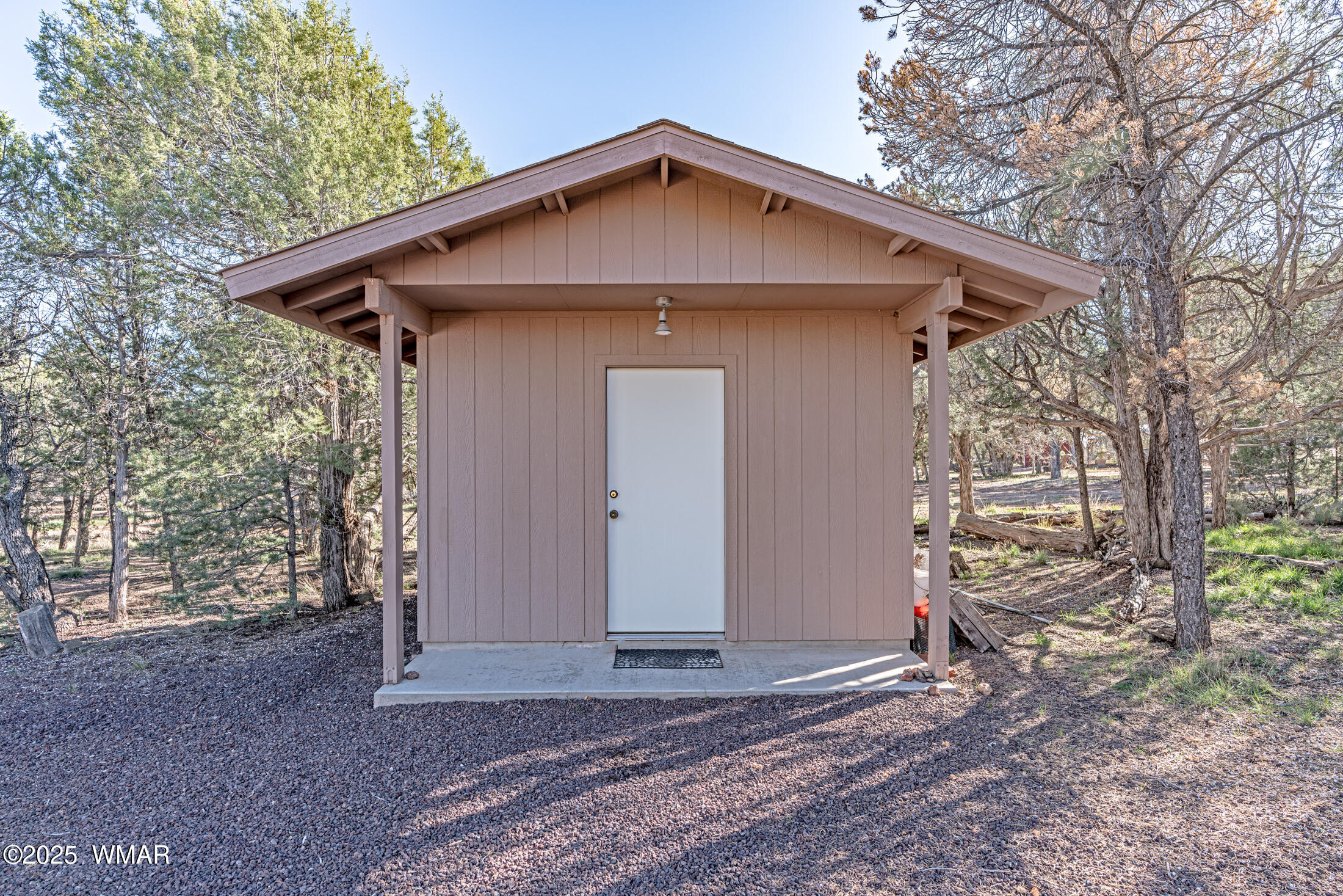 1680 Cactus Flower Road Show Low, AZ 85901 - Photo 10 of 18 Well house/Tool shed