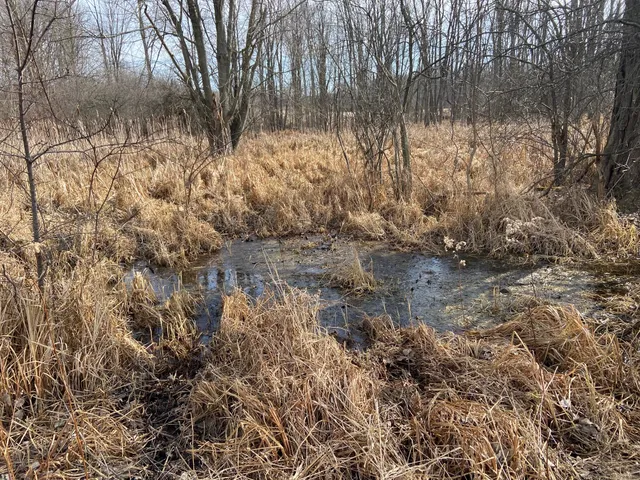 $1,600,000 | 5300 Belford Road, Holly, MI 48442