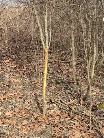 $1,600,000 | 5300 Belford Road, Holly, MI 48442