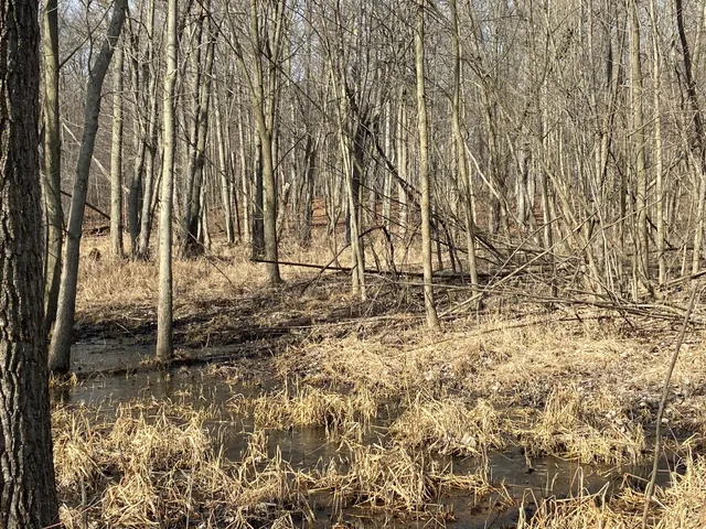 $1,600,000 | 5300 Belford Road, Holly, MI 48442