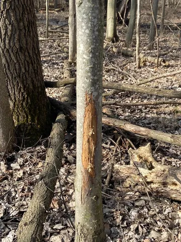 $1,600,000 | 5300 Belford Road, Holly, MI 48442