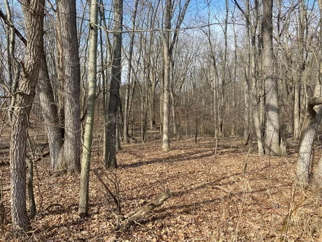 $1,600,000 | 5300 Belford Road, Holly, MI 48442