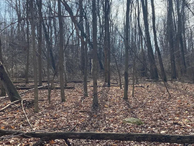 $1,600,000 | 5300 Belford Road, Holly, MI 48442