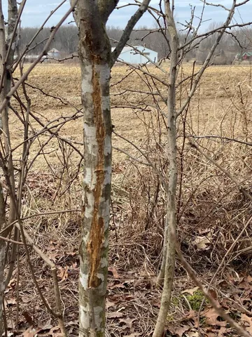 $1,600,000 | 5300 Belford Road, Holly, MI 48442